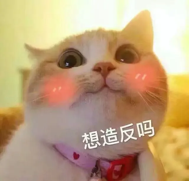 想造反吗