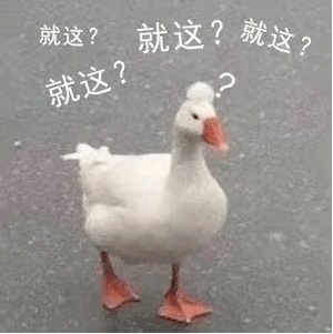 鸭鸭就这？