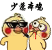 少惹本鸡（小黄鸡）
