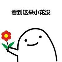 看到这朵小花没？_小花_搞笑_熊猫表情包