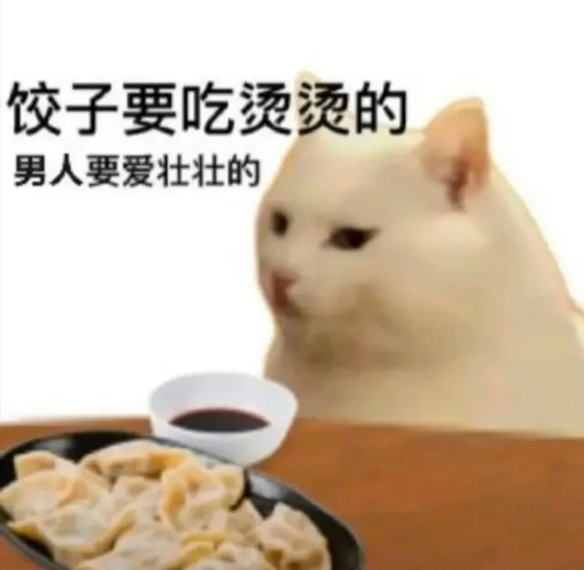 饺子要吃烫烫的男人要爱壮壮的（饺子要吃烫烫的男人要爱壮壮的）