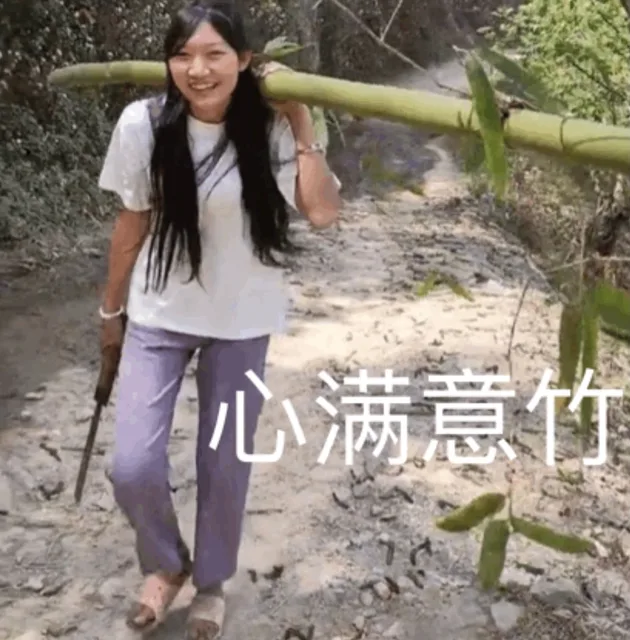 纠图纠纠姐表情包_纠纠姐表情包
