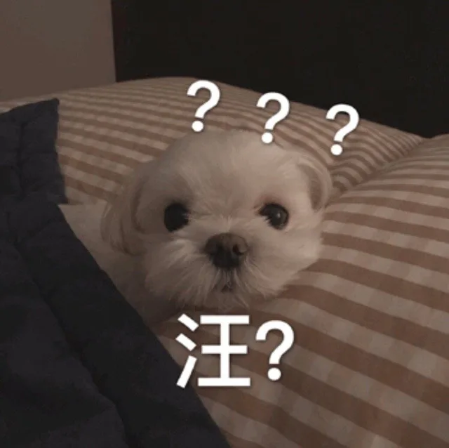 汪？？（汪？？）