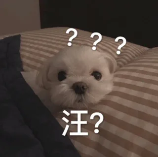 汪？？