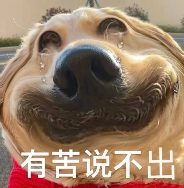 有苦说不出（有苦说不出）