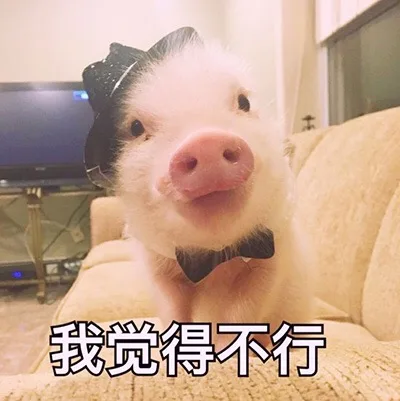 我觉得不行