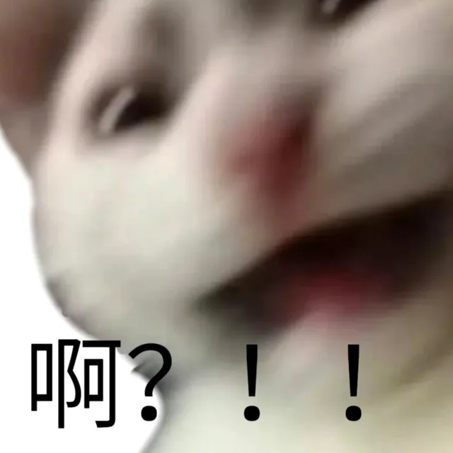 啊?