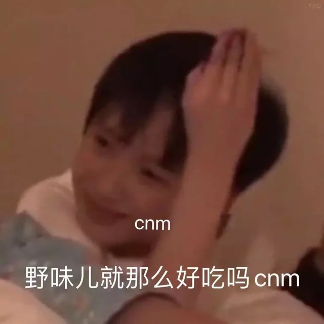 cnm野味儿就那么好吃吗cnm（cnm野味儿就那么好吃吗cnm）