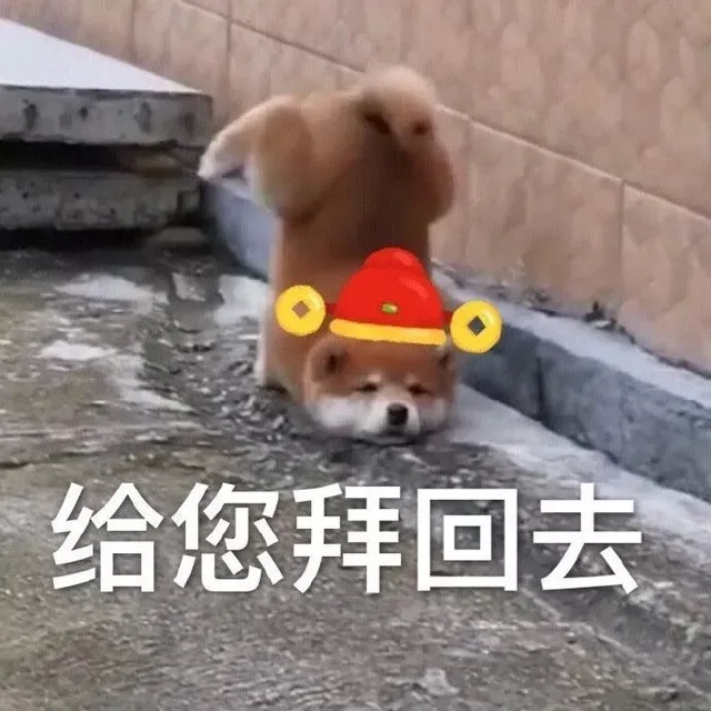 给您拜回去