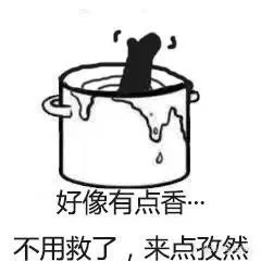 好像有点香不用救了来点孜然（好像有点香不用救了来点孜然）
