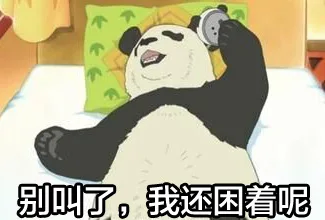 搞笑熊猫系列表情_熊猫表情包