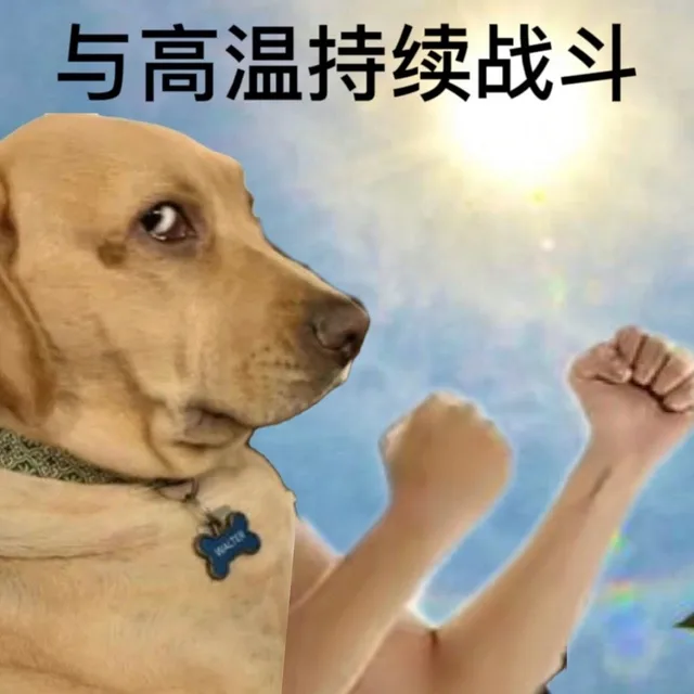 与高温持续战斗（与高温持续战斗）