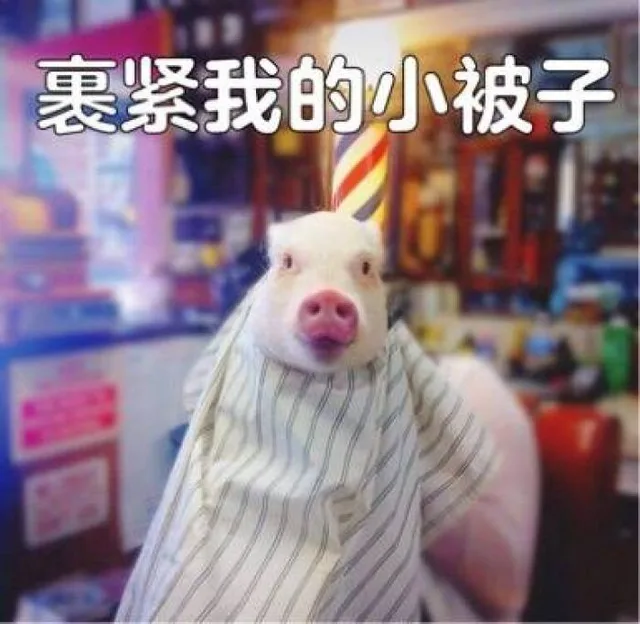 裹紧我的小被子（裹紧我的小被子）