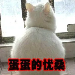 蛋蛋的忧桑！