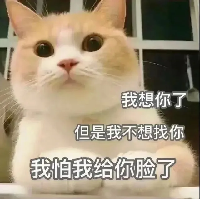 我想你了但是我不想找你我怕我给你脸了