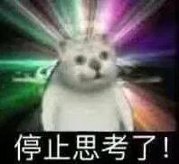 停止思考了!