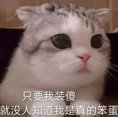 只要我装傻就没人知道我是真的笨蛋