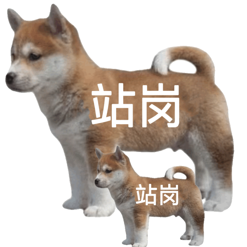 站岗站岗