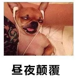 一句话总结下自己的上半年，简直是句句戳心！表情包