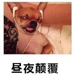 一句话总结下自己的上半年，简直是句句戳心！表情包
