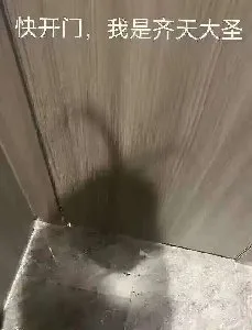 快开门，我是齐天大圣（快开门，我是齐天大圣）