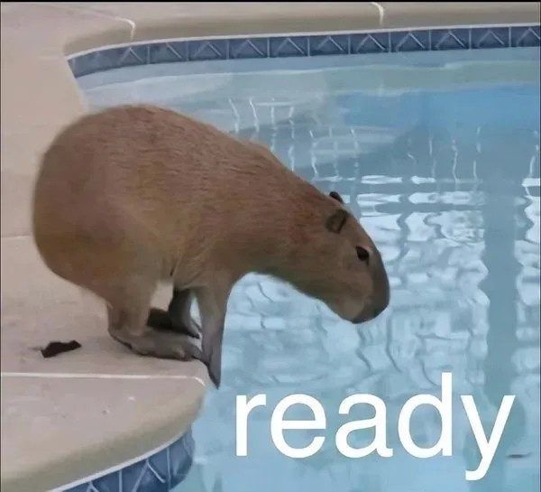 ready(水豚表情包 准备)（ready(水豚表情包 准备)）