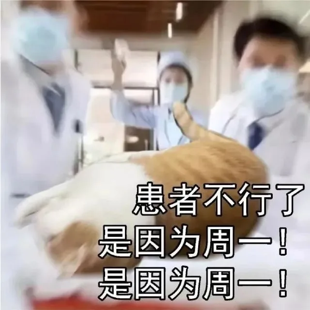 患者不行了是因为周一！是因为周一！(猫猫表情包)（患者不行了是因为周一！是因为周一！(猫猫表情包)）