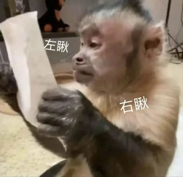 左瞅右瞅（左瞅右瞅）