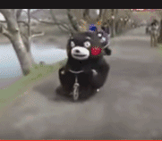 熊本熊撞车啦