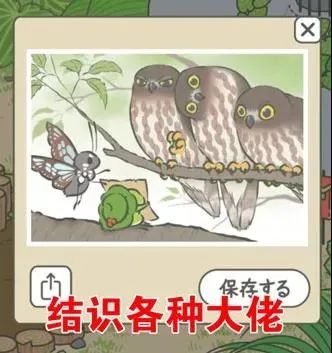 XONO保存寸百结识各种大