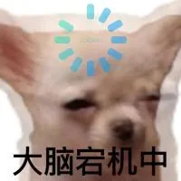 大脑岩机中（大脑岩机中）
