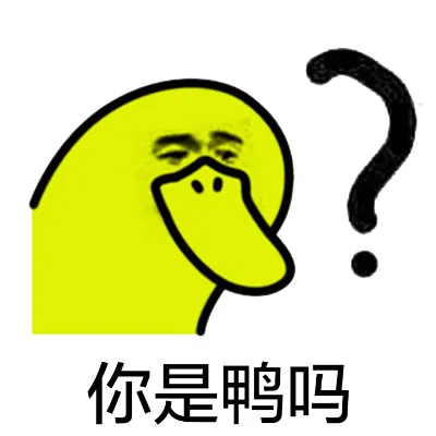 你是鸭吗？