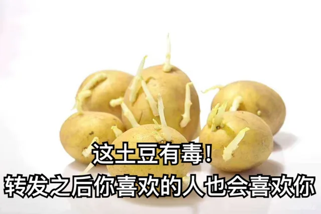 这土豆有毒!转发之后你喜欢的人也会喜欢你（这土豆有毒!转发之后你喜欢的人也会喜欢你）