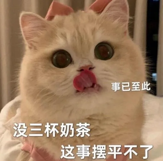 事已至此没三杯奶茶这事摆平不了（事已至此没三杯奶茶这事摆平不了）