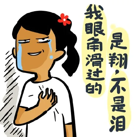 我眼角滑过的是翔不是泪