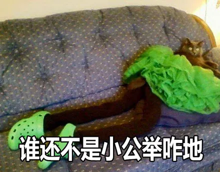 谁还不是小公举咋地（谁还不是小公举咋地）
