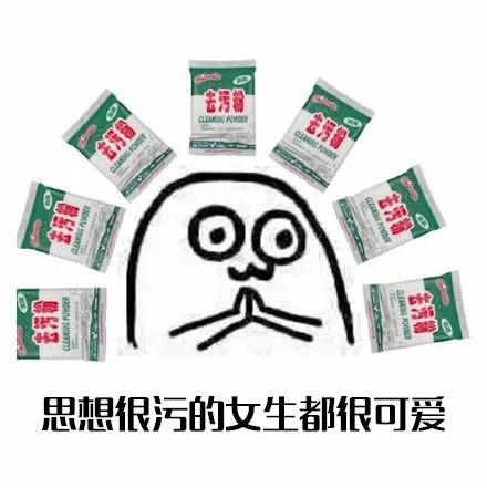 思想很污的女生都很可以（去污粉）（思想很污的女生都很可以（去污粉））
