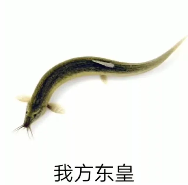 我方东皇