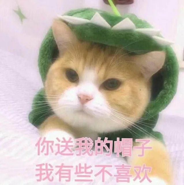 你送我的我有些不喜欢（你送我的我有些不喜欢）
