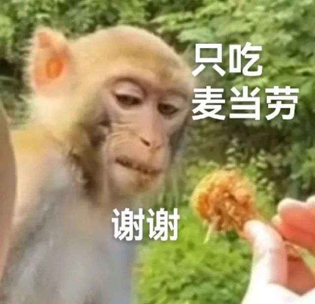 只吃麦当劳谢谢（只吃麦当劳谢谢）