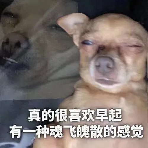 真的很喜欢早起有一种魂飞魄散的感觉（真的很喜欢早起有一种魂飞魄散的感觉）