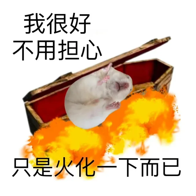 我很好不用担心只是火化一下而已(鼠鼠表情包)（我很好不用担心只是火化一下而已(鼠鼠表情包)）