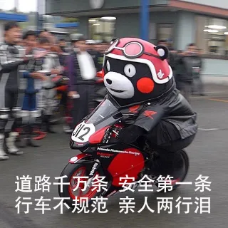 道路千万条，安全第一条，行车不规范，亲人两行泪