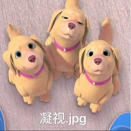 凝视jg
