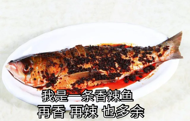 我是一份香辣鱼，再香再辣也多余