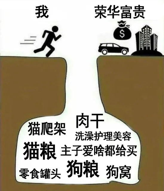 我荣华富贵2猫爬架肉干洗澡护理美容猫粮主子爱啥都给买零食罐头狗粮狗窝