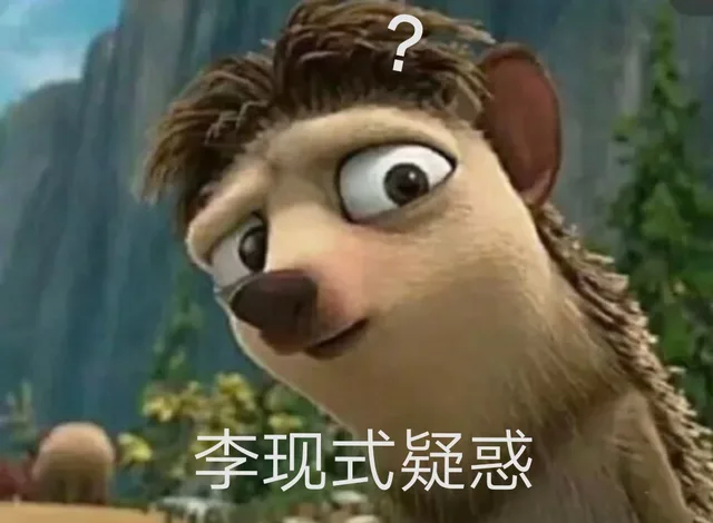 李现式疑惑