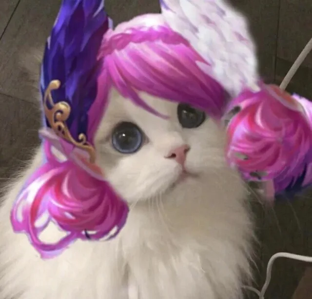 王者荣耀猫头头像5