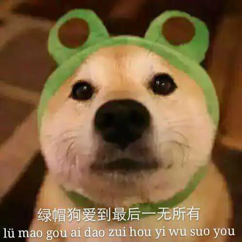 绿帽狗爱到最后一无所有（绿帽狗爱到最后一无所有）