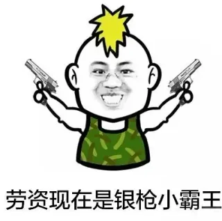 劳资现在是银枪小霸王